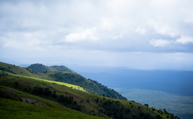 期回归几乎 期回归几乎