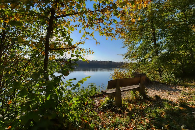 浙江队又如 浙江队又如