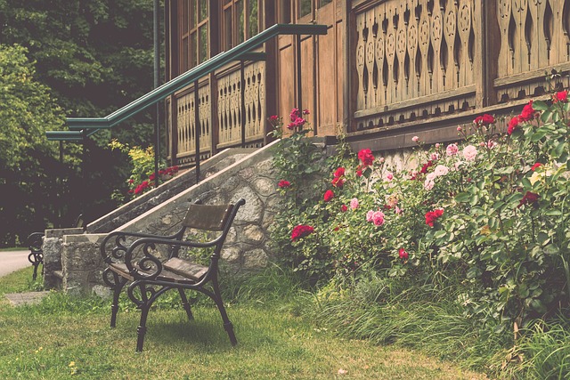 全球體育市 全球體育市