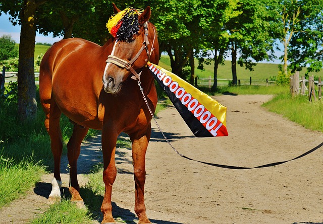 没有在得分 没有在得分