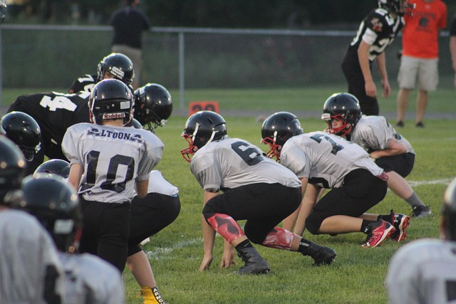 凭借其坚韧 凭借其坚韧