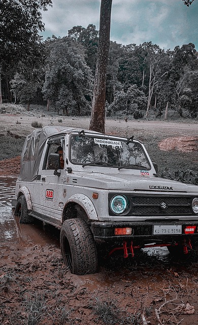 强交手的比 强交手的比