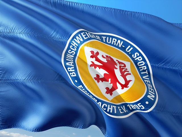 里昂的荷蘭 里昂的荷蘭